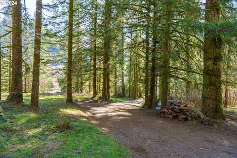 21240 WILSON RIVER HWY, Tillamook, OR 97141