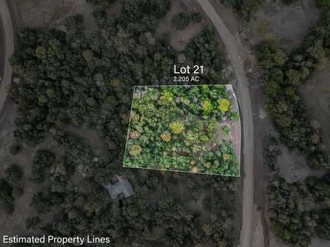 TBD Wendy Lane - Lot 21, Round Top, TX 78954