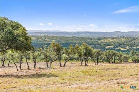 6590 US Highway 290, Dripping Springs, TX 78620