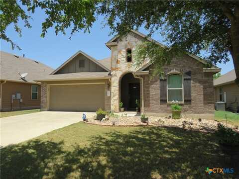 136 Mistflower Lane, Kyle, TX 78640