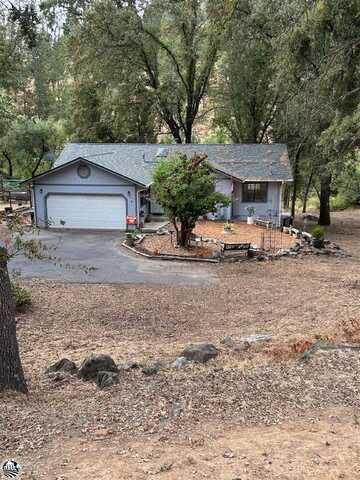 19955 Deerbrush Ct, Groveland, CA 95321