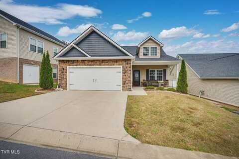 248 Piper Glen, Gray, TN 37615