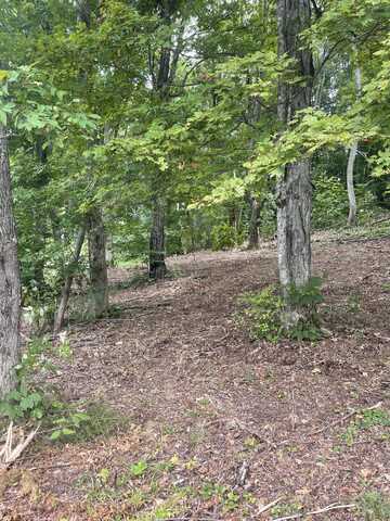 Lot 35 Chimney Top Lane, Chuckey, TN 37641