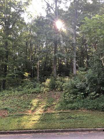 Lot 43 Chimney Top Lane, Chuckey, TN 37641