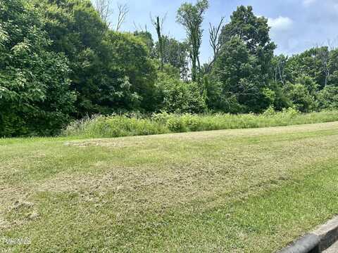 Lot 47 Chimney Top Lane, Chuckey, TN 37641