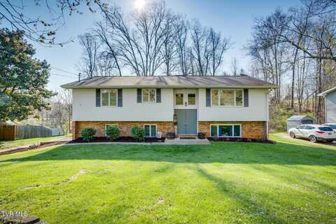 1217 Glencliff Drive, Kingsport, TN 37663