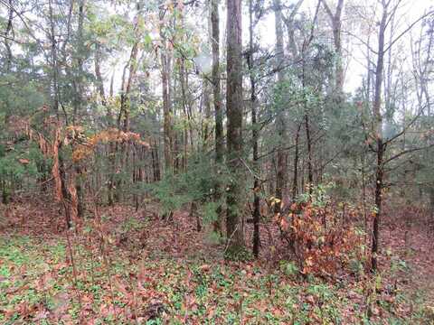 Hilltop Lane, GAINESBORO, TN 38562