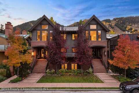 719 E Hopkins Avenue, Aspen, CO 81611