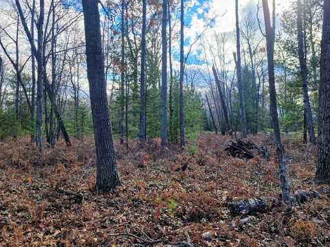 Lot # 8 Co Rd 646, Rogers City, MI 49779