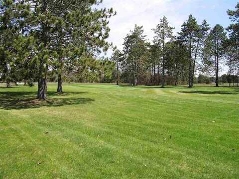 N1/2 Lot 1 N Markey Road, Roscommon, MI 48653