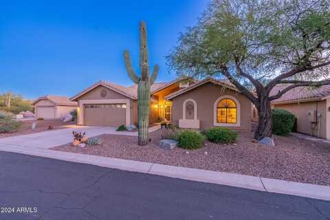 8445 E Aloe Vera Circle, Gold Canyon, AZ 85118