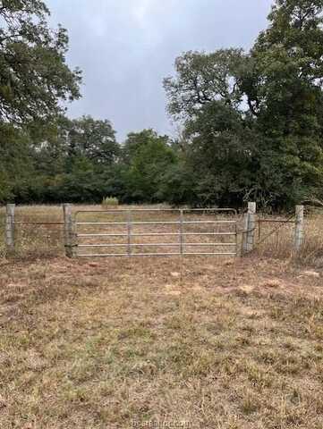 25 Acres County Road 316, Caldwell, TX 77836