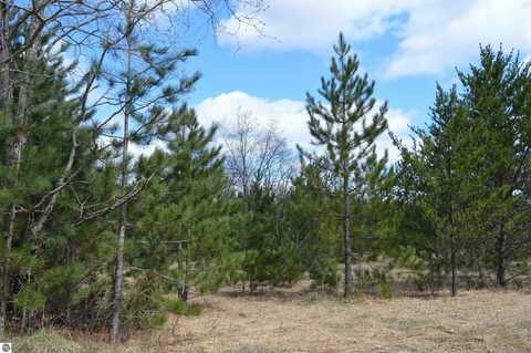 OFF WOOD ROAD, NE, KALKASKA, MI 49646