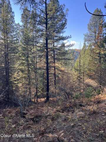 20.0acs French Gulch Rd, Kingston, ID 83839