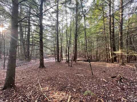 0 Camp Road, Wawarsing, NY 12423