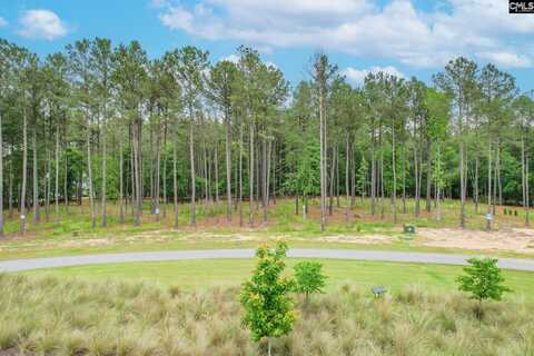 153 Stewart Landing Drive, Prosperity, SC 29127