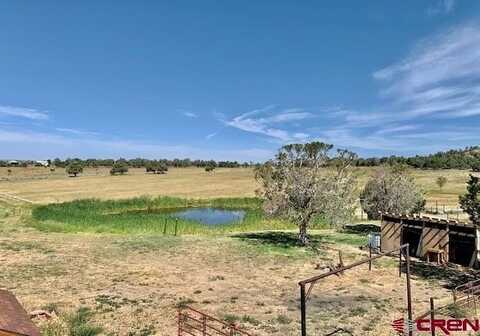 34099 Road M, Mancos, CO 81328