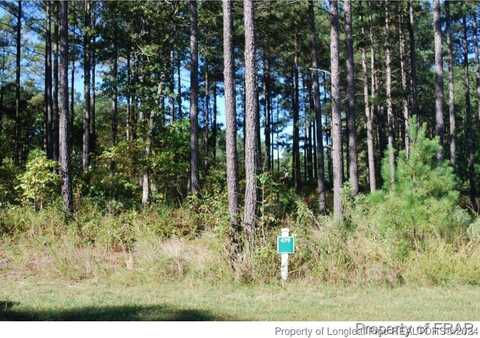 undefined, Spring Lake, NC 28390