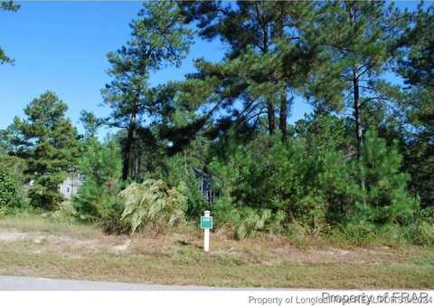 undefined, Spring Lake, NC 28390