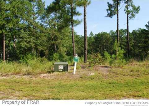 undefined, Spring Lake, NC 28390