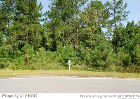 undefined, Spring Lake, NC 28390