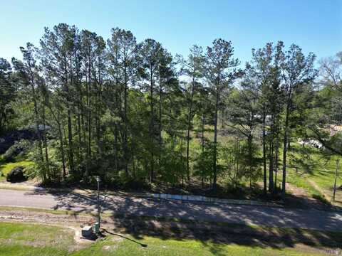 11354 MAXWELL DR, Walker, LA 70785