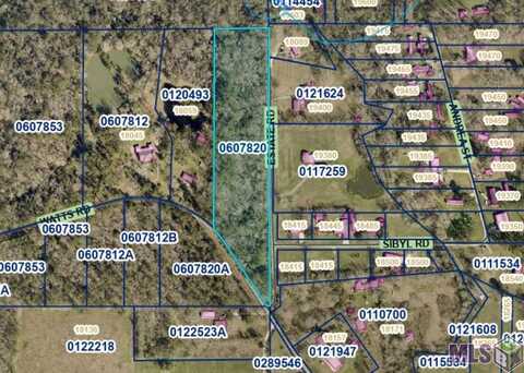 TMR-4-A-1 ESTATE RD, Livingston, LA 70754