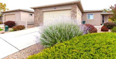 862 Summer Bend Court, Grand Junction, CO 81506