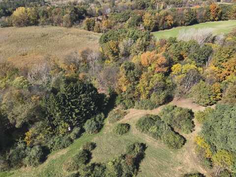 11800 Territorial Road, Munith, MI 49259