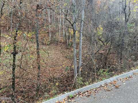 Lot 6 Pulaski Lane, Sevierville, TN 37862