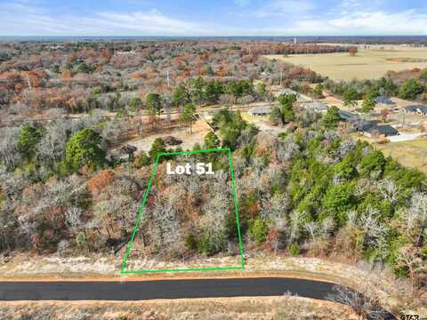 TBD PR 6305 LOT 51, Mineola, TX 75773