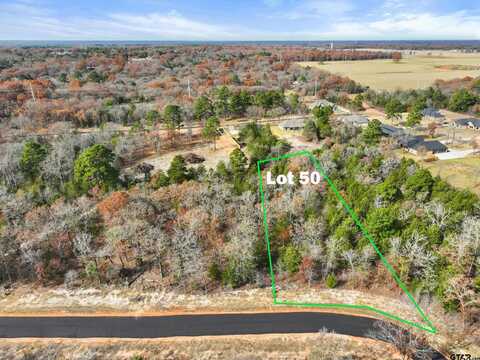 TBD PR 6305 LOT 50, Mineola, TX 75773