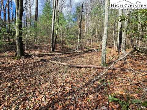 Lot 25 Riverstone, Laurel Springs, NC 28644