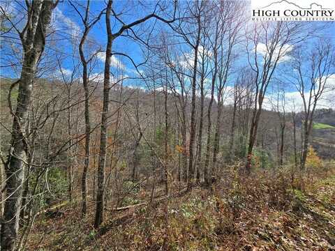 Lot 24 & 25 Riverstone, Laurel Springs, NC 28644