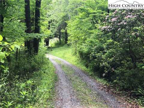 00 Chinquapin Ridge Road, Scottville, NC 28672