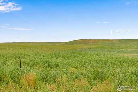 7 TBD County Road 122, Carr, CO 80612