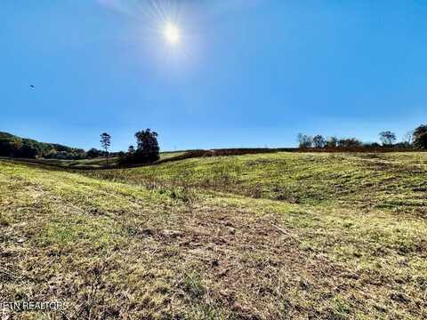 Buffalo Springs Rd, Rutledge, TN 37861