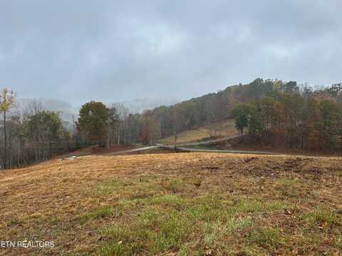 Tbd Drinnon Hollow Rd, Sneedville, TN 37869