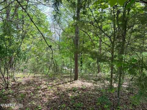 Lot 12 Norris View Drive, La Follette, TN 37766