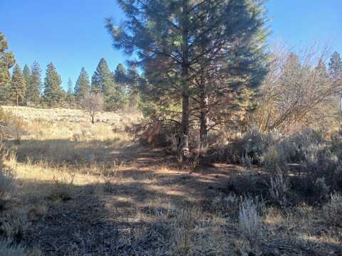 Palouse Lane, Chiloquin, OR 97624