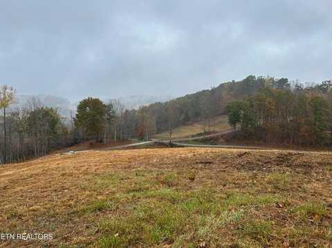 Tbd Drinnon Hollow Road, Sneedville, TN 37869