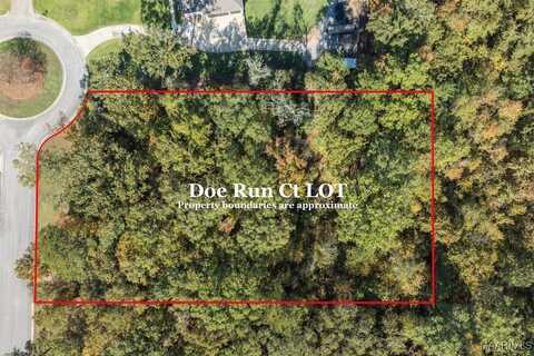 12 Doe Run Court, Pike Road, AL 36064