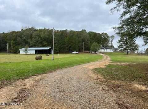 391 Attala Rd 4127 Road, Sallis, MS 39160