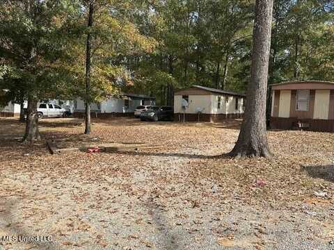 3840 Morton Rankin County Line Road, Morton, MS 39117