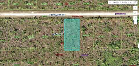 411 PORTULACA DRIVE, INDIAN LAKE ESTATES, FL 33855