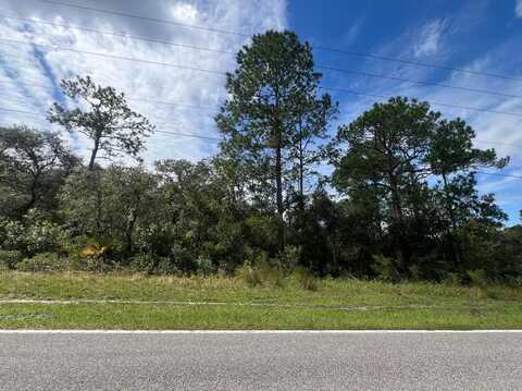 00 RICHARDSON BOULEVARD, WEBSTER, FL 33597