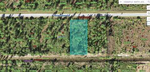 403 TROPICANA DRIVE, INDIAN LAKE ESTATES, FL 33855