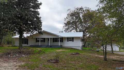 755 Hammonds Road, Fyffe, AL 35971