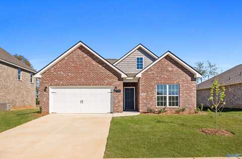 139 Ivy Vine Drive, Toney, AL 35773