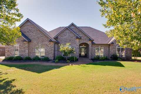 25232 Castlebury Drive, Athens, AL 35613